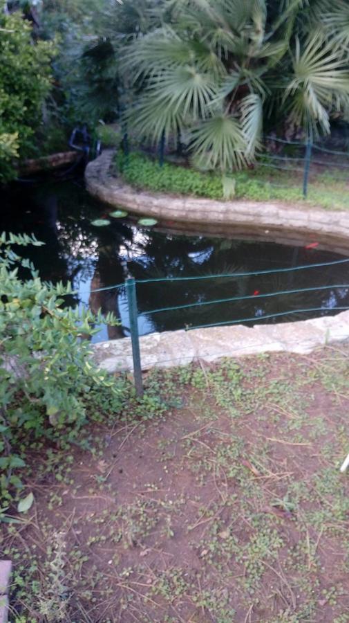 Casina Delle Arti Acomodação com café da manhã San Cataldo  Exterior foto