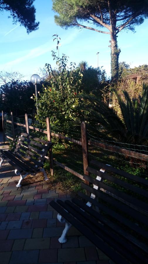 Casina Delle Arti Acomodação com café da manhã San Cataldo  Exterior foto